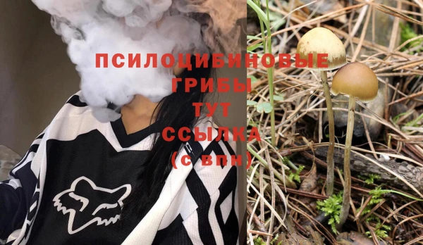 амфетамин Снежногорск