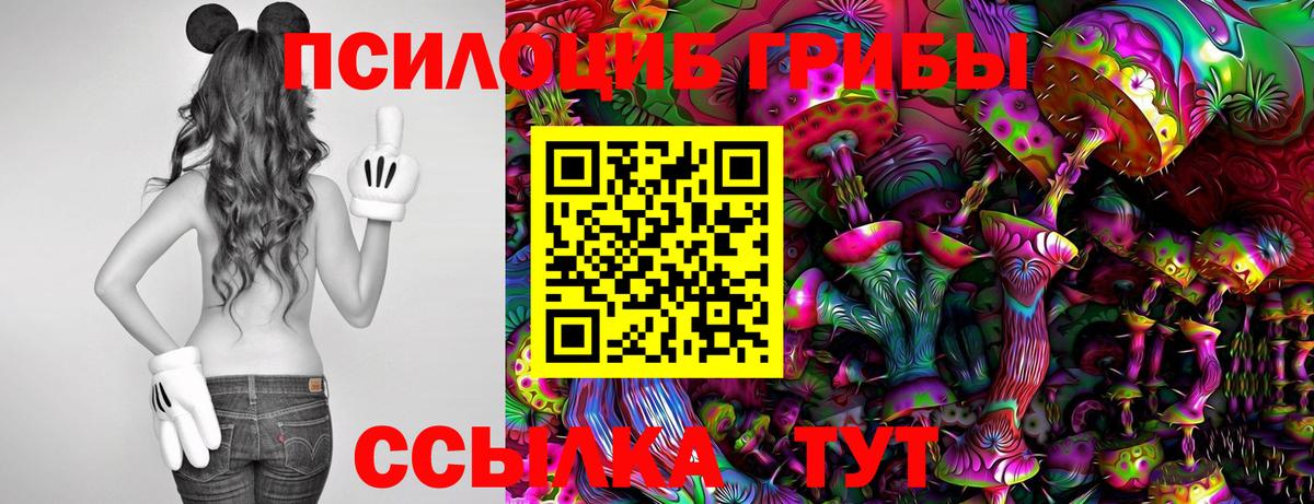 Галлюциногенные грибы Cubensis Красноперекопск